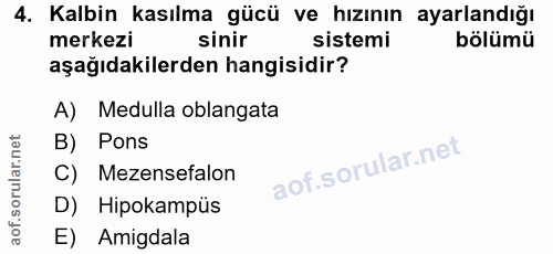 4. soru: Kalbin kasılma gücü ve hızının ayarlandığı merkezi sinir sistemi bölümü aşağıdakilerden hangisidir? A) Medulla oblang…