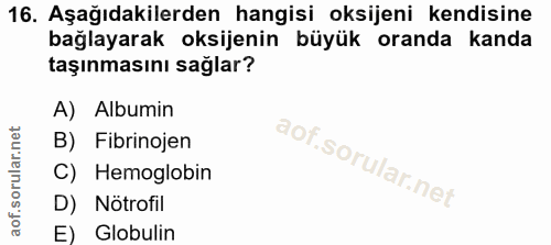 16. soru: Aşağıdakilerden hangisi oksijeni kendisine bağlayarak oksijenin büyük oranda kanda taşınmasını sağlar? A) Albumin B)…