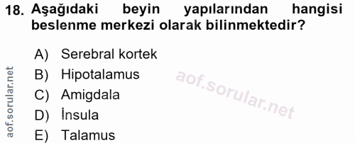 18. soru: Aşağıdaki beyin yapılarından hangisi beslenme merkezi olarak bilinmektedir? A) Serebral kortek B) Hipotalamus C) Amig…