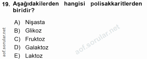 19. soru: Aşağıdakilerden hangisi polisakkaritlerden biridir? A) Nişasta B) Glikoz C) Fruktoz D) Galaktoz E) Laktoz
