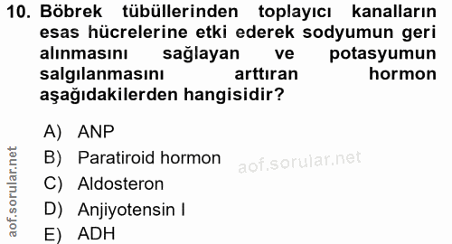 10. soru: Böbrek tübüllerinden toplayıcı kanalların esas hücrelerine etki ederek sodyumun geri alınmasını sağlayan ve potasyumu…