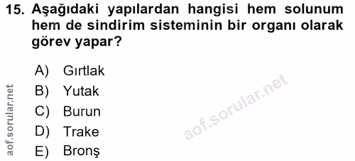 15. soru: Aşağıdaki yapılardan hangisi hem solunum hem de sindirim sisteminin bir organı olarak görev yapar? A) Gırtlak B) Yuta…