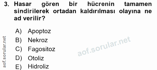 3. soru: Hasar gören bir hücrenin tamamen sindirilerek ortadan kaldırılması olayına ne ad verilir? A) Apoptoz B) Nekroz C) Fag…