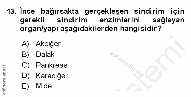 13. soru: İnce bağırsakta gerçekleşen sindirim için gerekli sindirim enzimlerini sağlayan organ/yapı aşağıdakilerden hangisidir…