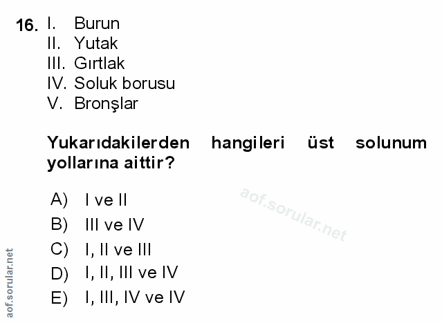 16. soru: I. Burun II. Yutak IlI. Gırtlak IV. Soluk borusu V. Bronşlar Yukarıdakilerden hangileri üst solunum yollarına aittir?…