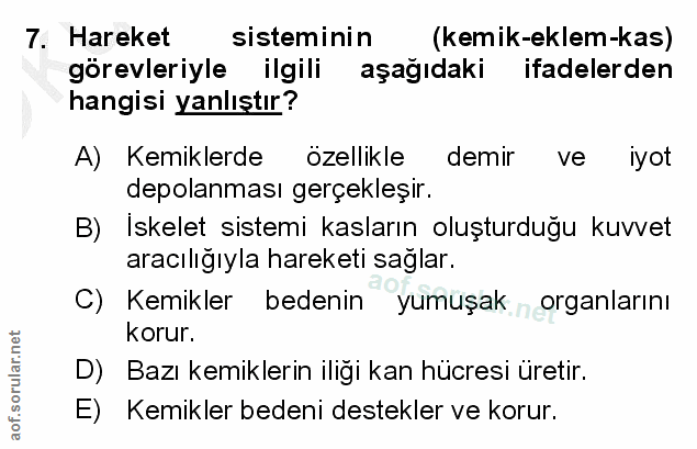 7. soru: Hareket sisteminin (kemik-eklem-kas) görevleriyle ilgili aşağıdaki ifadelerden hangisi yanlıştır? A) Kemiklerde özell…