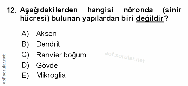 12. soru: Aşağıdakilerden hangisi nöronda (sinir hücresi) bulunan yapılardan biri değildir? A) Akson B) Dendrit C) Ranvier boğu…