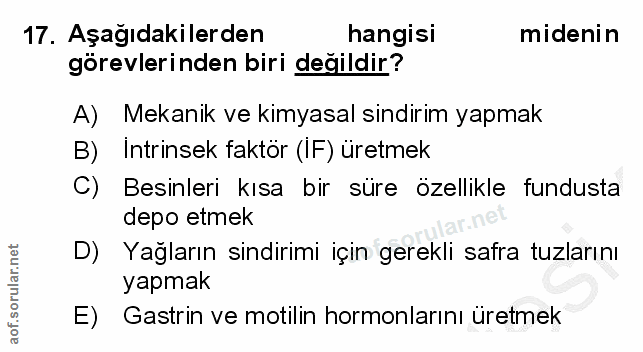 17. soru: Aşağıdakilerden hangisi midenin görevlerinden biri değildir? A) Mekanik ve kimyasal sindirim yapmak B) Intrinsek fakt…
