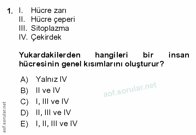 1. soru: I. Hücre zarı Il. Hücre çeperı III. Sitoplazma IV. Çekirdek Yukardakilerden hangileri bir insan hücresinin genel kısı…