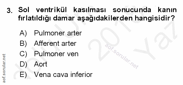 3. soru: Sol ventrikül kasılması sonucunda kanın fırlatıldığı damar aşağıdakilerden hangisidir? A) Pulmoner arter B) Afferent…
