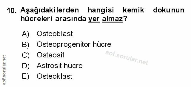 10. soru: Aşağıdakilerden hangisi kemik dokunun hücreleri arasında yer almaz? A) Osteoblast B) Osteoprogenitor hücre C) Osteosi…