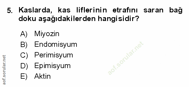 5. soru: Kaslarda, kas liflerinin etrafinı saran bag doku aşağıdakilerden hangisidir? A) Miyozin B) Endomisyum C) Perimisyum D…
