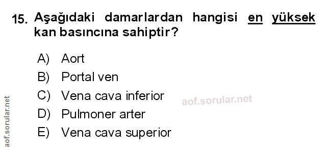 15. soru: Aşağıdaki damarlardan hangisi en yüksek kan basıncına sahiptir? A) Aort B) Portal ven C) Vena cava inferior D) Pulmon…