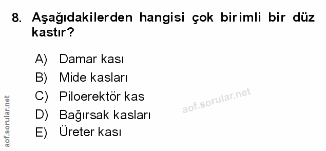 8. soru: Aşağıdakilerden hangisi çok birimli bir düz kastır? A) Damar kası B) Mide kasları C) Piloerektör kas D) Bağırsak kasl…