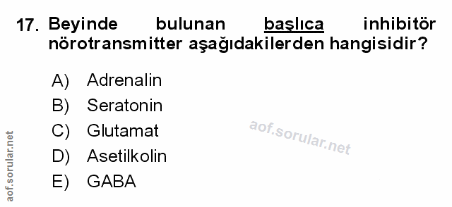 17. soru: Beyinde bulunan başlıca inhibitör nörotransmitter aşağıdakilerden hangisidir? A) Adrenalin B) Seratonin C) Glutamat D…