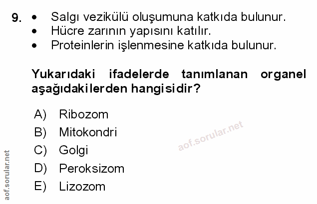 9. soru: - Salgı vezikülü oluşumuna katkıda bulunur. Hücre zarının yapısını katılır. • Proteinlerin işlenmesine katkıda bulunu…