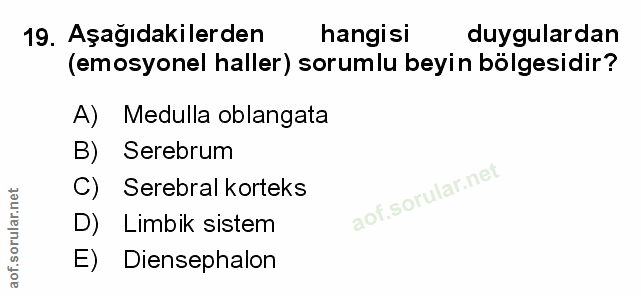 19. soru: Aşağıdakilerden hangisi duygulardan (emosyonel haller) sorumlu beyin bölgesidir? A) Medulla oblangata B) Serebrum C)…