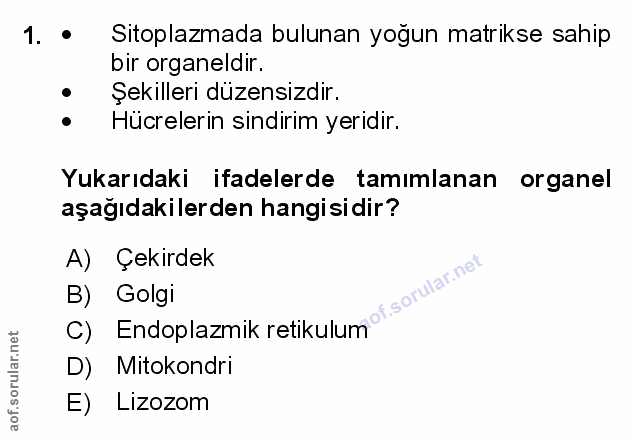 1. soru: . Sitoplazmada bulunan yoğun matrikse sahip bir organeldir. Şekilleri düzensizdir. Hücrelerin sindirim yeridir. Yukar…