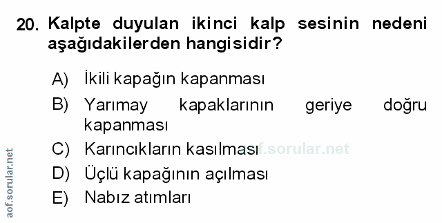 20. soru: Kalpte duyulan ikinci kalp sesinin nedeni aşağıdakilerden hangisidir? A) Ikili kapağın kapanması B) Yarımay kapakları…