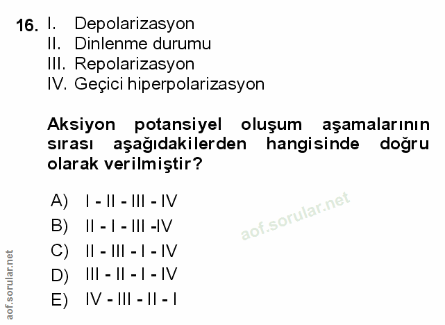 16. soru: l. Depolarizasyon Il. Dinlenme durumu Ill. Repolarizasyon IV. Geçici hiperpolarizasyon Aksiyon potansiyel oluşum aşam…