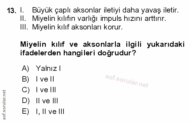 13. soru: I. Büyük çaplı aksonlar iletiyi daha yavaş iletir. II. Miyelin kılıfın varlığı impuls hızını arttırır. II. Miyelin kı…
