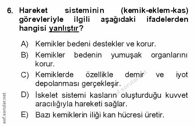 6. soru: Hareket sisteminin (kemik-eklem-kas) görevleriyle ilgili aşağıdaki ifadelerden hangisi yanlıştır? A) Kemikler bedeni…