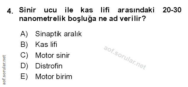 4. soru: Sinir ucu ile kas lifi arasındaki 20-30 nanometrelik boşluga ne ad verilir? A) Sinaptik aralık B) Kas lifi C) Motor s…
