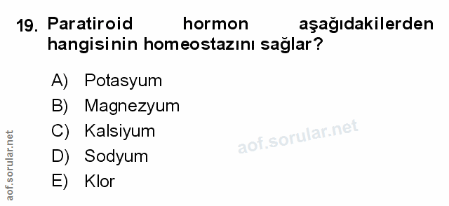 19. soru: Paratiroid hormon aşağıdakilerden hangisinin homeostazını sağlar? A) Potasyum B) Magnezyum C) Kalsiyum D) Sodyum E) Klor