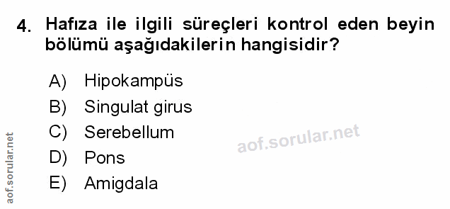 4. soru: Hafıza ile ilgili süreçleri kontrol eden beyin bölümü aşağıdakilerin hangisidir? A) Hipokampüs B) Singulat girus C) S…
