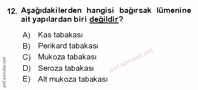 12. soru: Aşağıdakilerden hangisi bağırsak lümenine ait yapılardan biri değildir? A) Kas tabakası B) Perikard tabakası C) Mukoz…