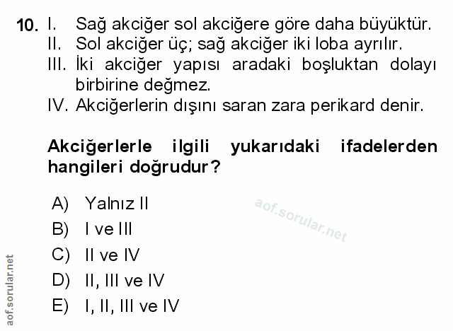10. soru: I. Sağ akciğer sol akciğere göre daha büyüktür. Il. Sol akciğer üç; sağ akciger iki loba ayrılır. IlI. Iki akciğer ya…