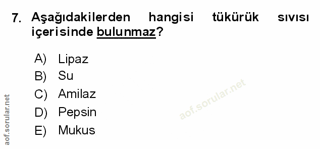 7. soru: Aşağıdakilerden hangisi tükürük SIVISI içerisinde bulunmaz? A) Lipaz B) Su C) Amilaz aof.sorular.ne D) Pepsin E) Mukus