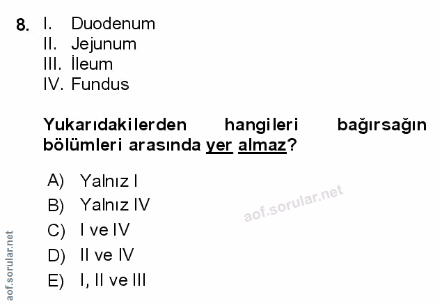 8. soru: 1. Duodenum Il. Jejunum IlI. Ileum IV. Fundus Yukarıdakilerden hangileri bağırsağın bölümleri arasında yer almaz? A)…