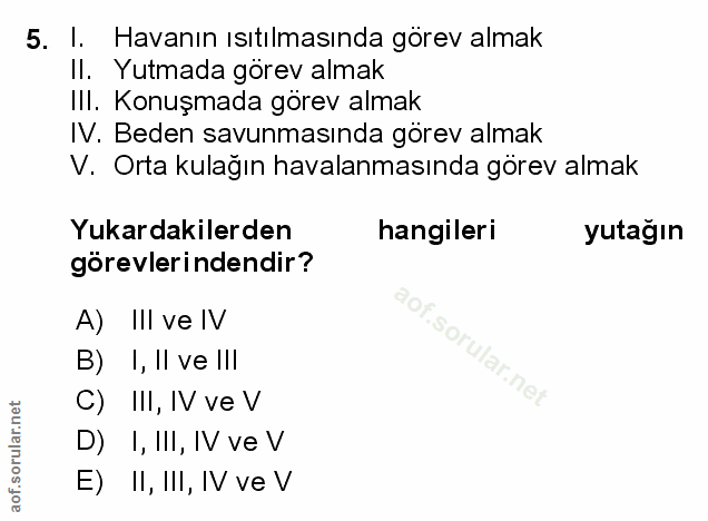 5. soru: I. Havanın ısıtılmasında görev almak II. Yutmada görev almak III. Konuşmada görev almak IV. Beden savunmasında görev…