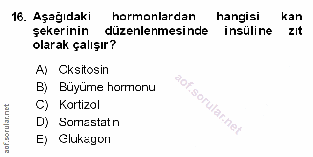 16. soru: Aşağıdaki hormonlardan hangisi kan şekerinin düzenlenmesinde insüline zIt olarak çalışır? A) Oksitosin B) Büyüme horm…