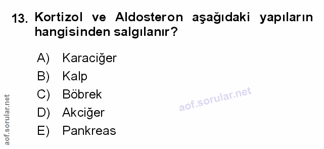 13. soru: Kortizol ve Aldosteron aşağıdaki yapıların hangisinden salgılanır? A) Karaciğer Kalp C) Böbrek D) Akciğer E) Pankreas