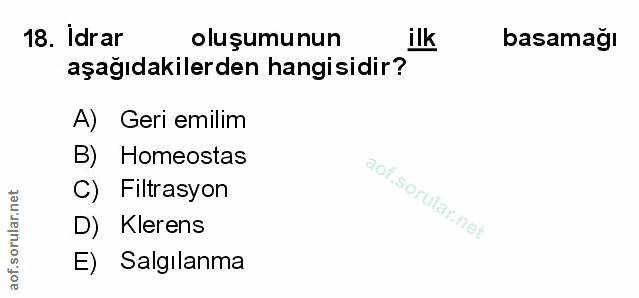 18. soru: İdrar oluşumunun ilk basamağı aşağıdakilerden hangisidir? A) Geri emilim B) Homeostas C) Filtrasyon D) Klerens E) Sal…