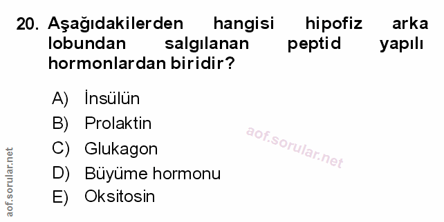 20. soru: Aşağıdakilerden hangisi hipofiz arka lobundan salgılanan peptid yapılı hormonlardan biridir? A) Insülün B) Prolaktin…