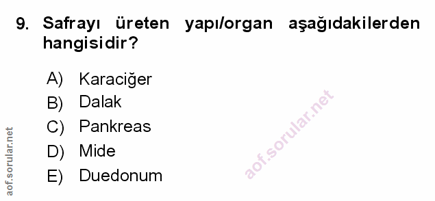 9. soru: Safrayı üreten yapı/organ aşağıdakilerden hangisidir? A) Karaciğer B) Dalak C) Pankreas D) Mide E) Duedonum