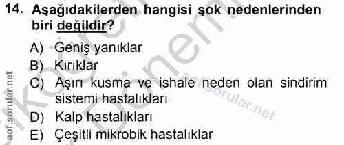 14. soru: Aşağıdakilerden hangisi şok nedenlerinden biri değildir? A) Geniş yanıklar B) Kırıklar C) Aşırı kusma ve ishale neden…
