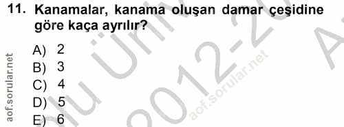 11. soru: Kanamalar, kanama oluşan damar çeşidine göre kaça ayrılır? A) 2 Y B) 3 C) D) 5 E) 6