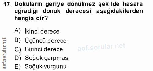 17. soru: Dokuların geriye dönülmez şekilde hasara uğradığı donuk derecesi aşağıdakilerden hangisidir? A) İkinci derece B) Üçün…
