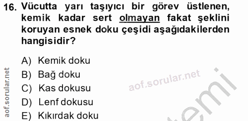 16. soru: Vücutta yarı taşıyıcı bir görev üstlenen, kemik kadar sert olmayan fakat şeklini koruyan esnek doku çeşidi aşağıdakil…