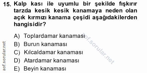15. soru: Kalp kası ile uyumlu bir şekilde fışkırır tarzda kesik kesik kanamaya neden olan açık kırmızı kanama çeşidi aşağıdaki…