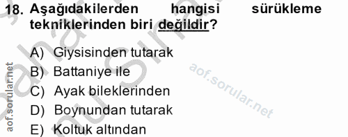18. soru: Aşağıdakilerden hangisi sürükleme tekniklerinden biri değildir? A) Giysisinden tutarak B) Battaniye ile C) Ayak bilek…