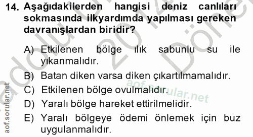 14. soru: Aşağıdakilerden hangisi deniz canlıları sokmasında ilkyardımda yapılması gereken davranışlardan biridir? A) Etkilenen…
