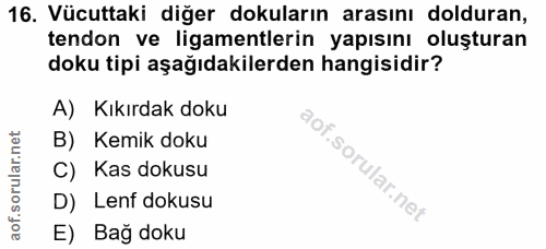 16. soru: Vücuttaki diğer dokuların arasını dolduran, tendon ve ligamentlerin yapısını oluşturan doku tipi aşağıdakilerden hang…