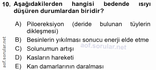 10. soru: Aşağıdakilerden hangisi bedende Isıyı düşüren durumlardan biridir? A) Piloereksiyon (deride bulunan tüylerin dikleşme…