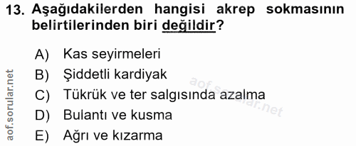 13. soru: Aşağıdakilerden hangisi akrep sokmasının belirtilerinden biri değildir? A) Kas seyirmeleri B) Şiddetli kardiyak C) Tü…