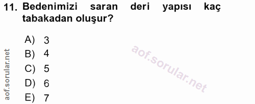11. soru: Bedenimizi saran deri yapısı kaç tabakadan oluşur? A) 3 B) 4 C) 5 D) 6 E) 7